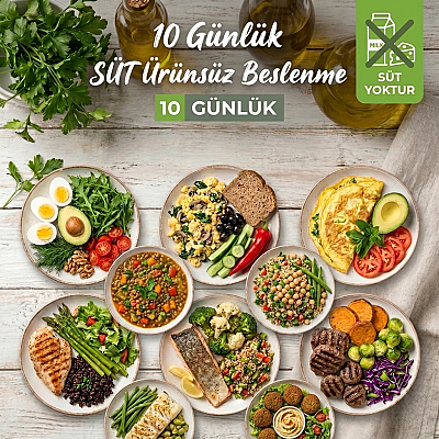 10. Günlük SÜT Ürünsüz Beslenme - 